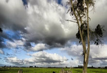 海星赛事-罗马训练开放日,今夜防线松动引欢呼,欧篮联在即,轮换策略成焦点的简单介绍