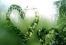 海星赛事-罗马训练开放日，今夜防线松动引欢呼，欧篮联在即，轮换策略成焦点的简单介绍