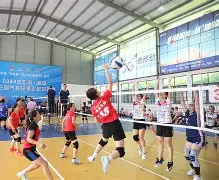 关于排球巡回赛上演强强对话，蓬莱猎隼队绝杀辽东银狐队，多点开花奏效；回归即成焦点的信息